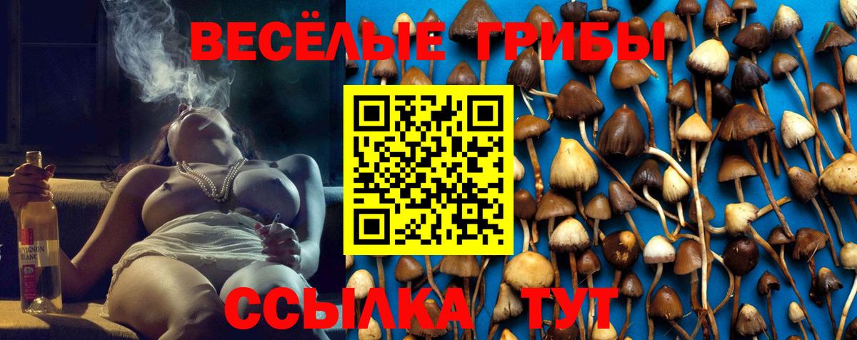 Псилоцибиновые грибы ЛСД Майский