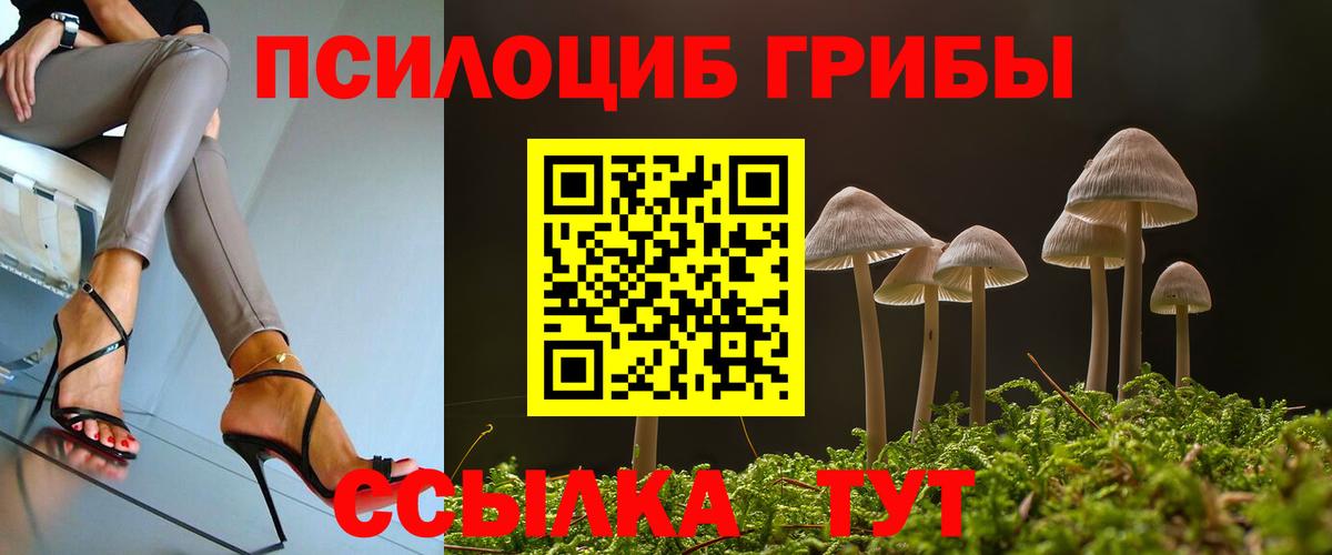 Галлюциногенные грибы Psilocybe  Галлюциногенные грибы мухоморы  Майский  Вход с VPN 
